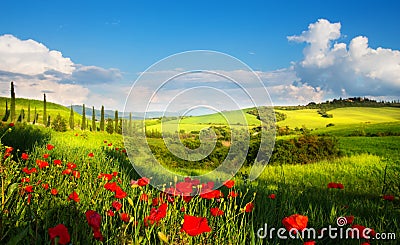 art italy countryside landscape with red poppy flowers and cypress trees on the mountain path Stock Photo