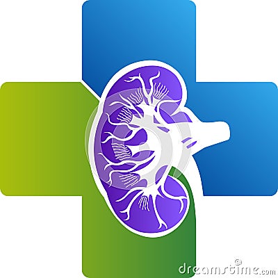 Kidney hospital logo Vector Illustration