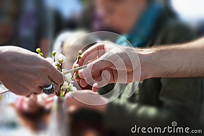 Art lesson outdoors- blurred background Stock Photo