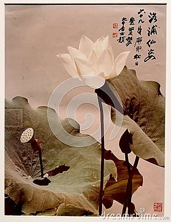 Art Macao Wynn Antique Chinese Water Lilies Lotus Photography Arts Hu Chongxian Zhang Daqian Calligraphy Chang Dai-Chien Garden Editorial Stock Photo