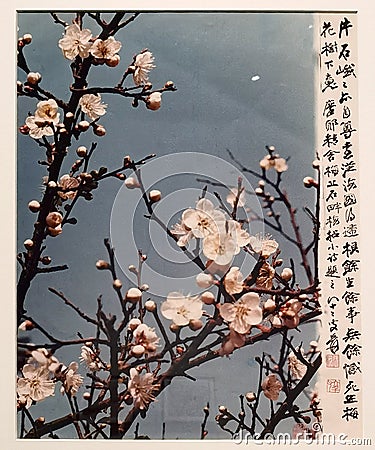 Art Macao Wynn Antique Chinese Nature Cherry Blossom Photography Arts Hu Chongxian Zhang Daqian Calligraphy Chang Dai-Chien Garden Editorial Stock Photo