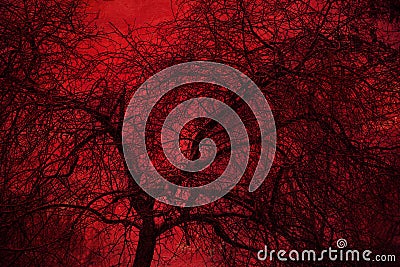 Art Photo mystical tree on a red background. double exposure Stock Photo