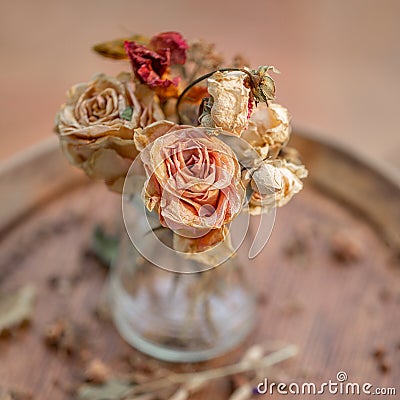 Art photography. Roses withered in a glass vase. Stock Photo