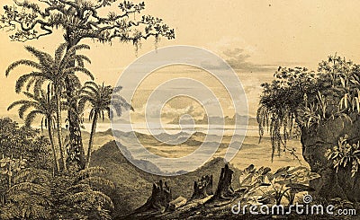 Art Picture. Illustration on white background Stock Photo