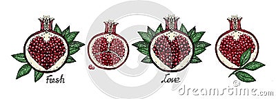 Art pomegranates graphic vector sketches, pomegranates symbols with heart shaped seeds inside Vector Illustration