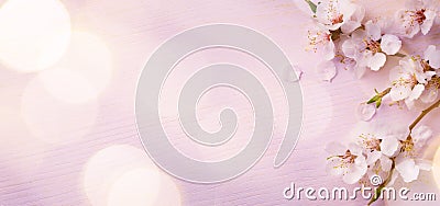 Art Spring border background with pink blossom Stock Photo