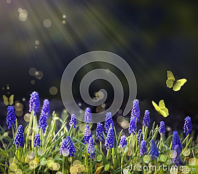 Art Spring flowering meadows Stock Photo