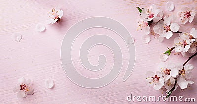 Art spring flowers background Stock Photo