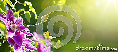 Art Spring or summer flower background; Easter landscape Stock Photo