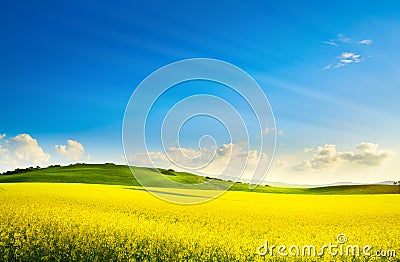 Art springtime rural landscape. rape spring field and blue sky horizon Stock Photo