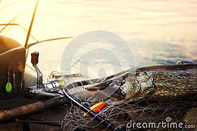 Successful fishing. Caught Pike fish and fishing tackle on wooden Dock Stock Photo