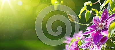 Art Summer or spring beautiful garden background Stock Photo