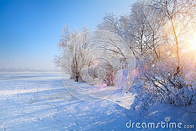 Art winter Landscape with Frozen lake and snowy trees Stock Photo