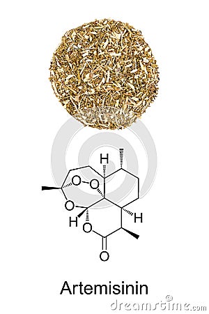 Sweet wormwood, Artemisia annua, herb circle, and artemisinin formula Stock Photo