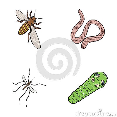 Arthropods insect Vector Illustration