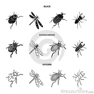 Arthropods Insect ladybird, dragonfly, beetle, Colorado beetle Insects set collection icons in black,monochrome,outline Vector Illustration