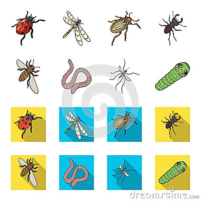 Arthropods insect mosquito, bee.Earth worm, caterpillar,vermicular set collection icons in cartoon,flat style vector Vector Illustration