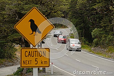 leaving the kea zone at Arhtur`s Pass Editorial Stock Photo