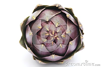 Artichoke Stock Photo