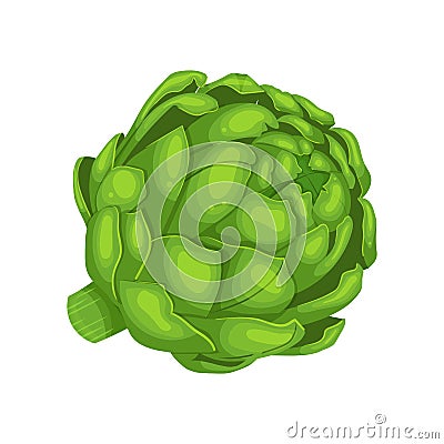 artichoke fresh cartoon vector illustration Cartoon Illustration