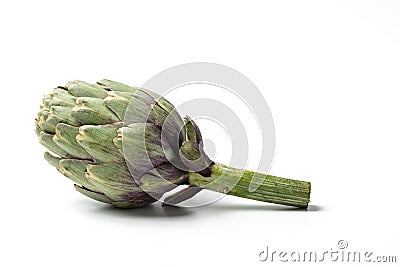 Artichoke - Green Artichoke `Carciofo` On White Background Stock Photo
