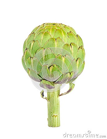 Artichoke isolated on the white background Stock Photo