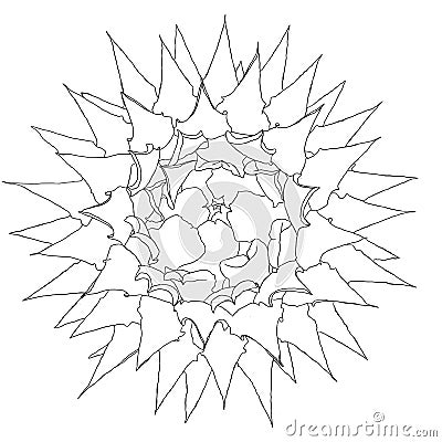 Artichoke thistle digital drawing Stock Photo