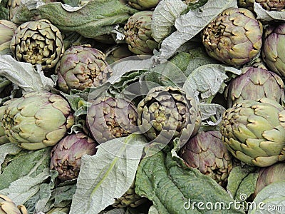 Artichokes Stock Photo