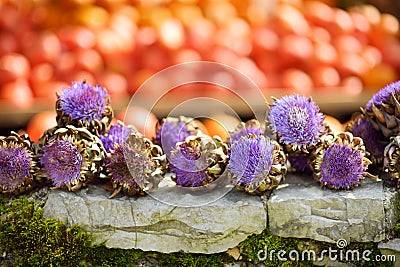 Artichokes and decorative orange pumpkins on display at the farmers market in Germany. Orange ornamental pumpkins in sunlight. Stock Photo