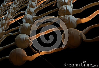 Artifical neural net. Neuron network with connection links. 3d illustration Stock Photo