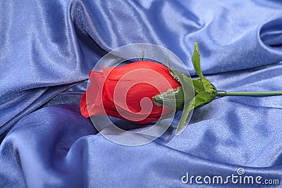 Artifical rough rose Stock Photo