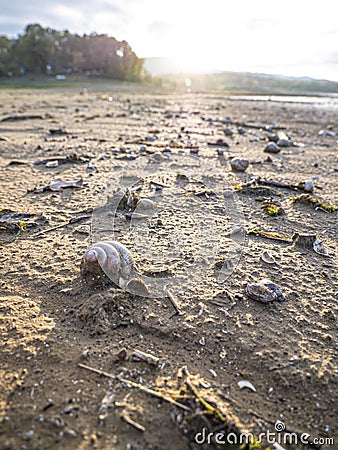 Artificial dam lake and shells at the shore bank. Stock Photo