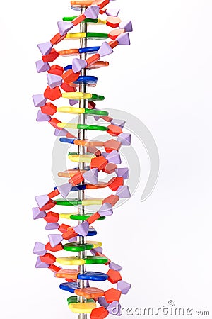 Artificial DNA model Stock Photo