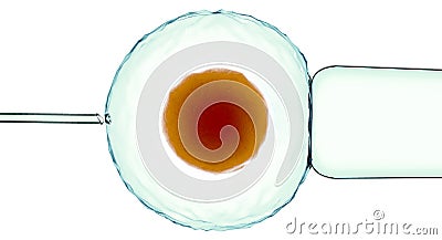Artificial fertilization, assisted. Fertilized cell, ovum. Artificial grafting. View under a microscope. Science. 3d rendering Stock Photo