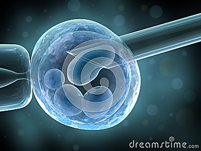 Artificial insemination Stock Photo