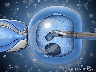 Artificial insemination Stock Photo