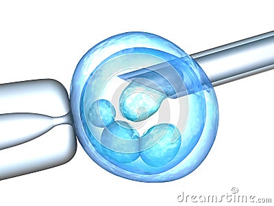 Artificial insemination Stock Photo