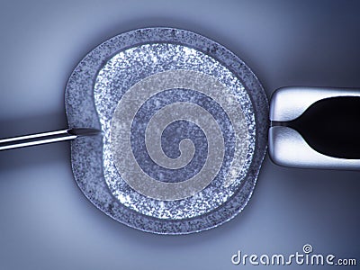 Artificial insemination Stock Photo