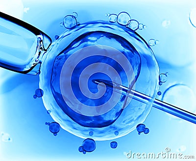 Artificial insemination Stock Photo