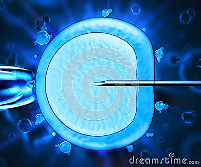 Artificial insemination Stock Photo