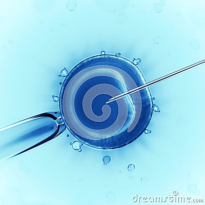 Artificial insemination Stock Photo