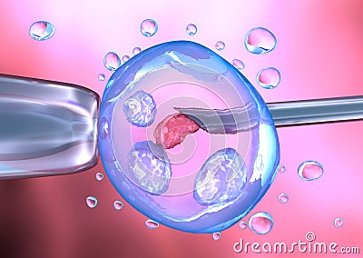 Artificial insemination process Stock Photo
