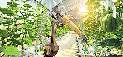 Artificial intelligence. Pollinate of fruits and vegetables Stock Photo