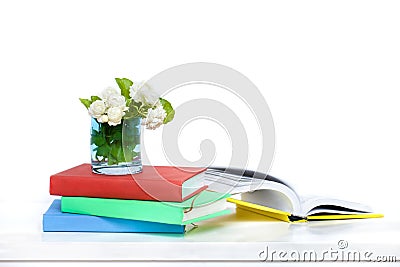 Artificial jasmine flower in the blue pot on the colorful book a Stock Photo