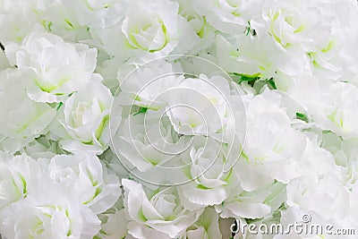 Artificial Jasmine white flowers Stock Photo