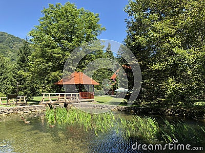 Artificial lakes in a Park forest Jankovac or Umjetna jezera u Park sumi Jankovac Stock Photo