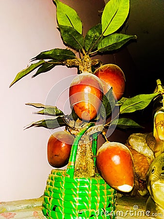 Artificial Mango Stock Photo