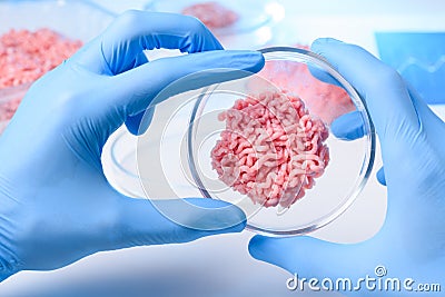 Artificial meat sample in lab petri dish Stock Photo