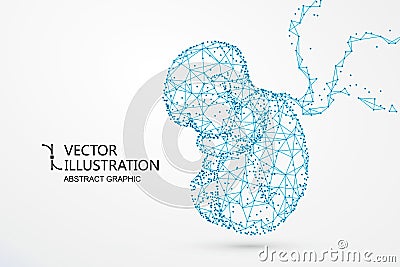 Artificial nurtured bionic fetuses, points and lines connected, vector illustration Vector Illustration