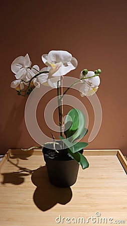 Artificial orchid flower room decoration Stock Photo